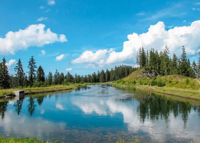 Anneliese By Interhome * Fügen